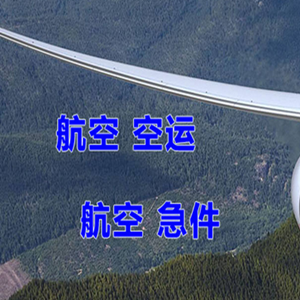 高崎空运公司快递-选东方航空和上海航空