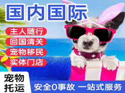 高崎空运公司国际宠物托运 【国
